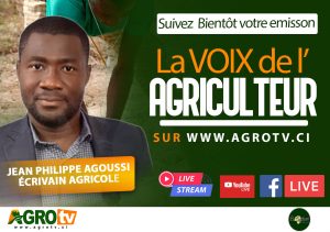 LA VOIX DE L'AGRICULTEUR : Le succès de ce pays repose sur l'agriculture