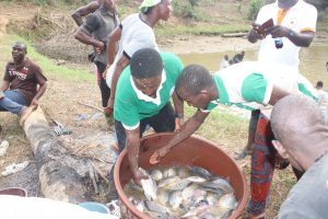 À la découverte de Mlle Christelle Djeble, l’âme de l’agriculture biologique