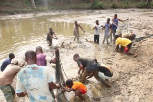 Pêche : Journée de la pêche à Gossoyo dans le departement de Gueyo