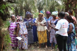 À la découverte de l'Association Djolo des Femmes de Kossoyo